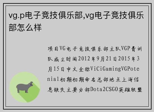 vg.p电子竞技俱乐部,vg电子竞技俱乐部怎么样